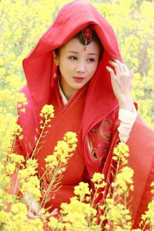 孙菲菲 