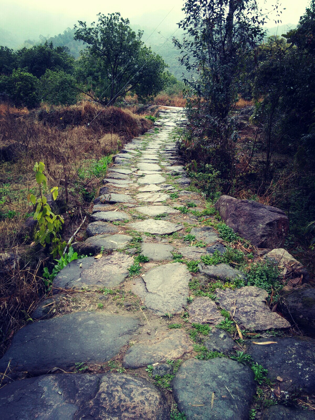 山间小路 堆糖网