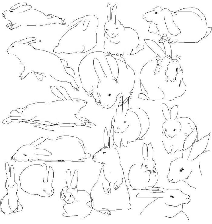 绘画参考# #动物结构# #兔子# 来一起画兔子吧