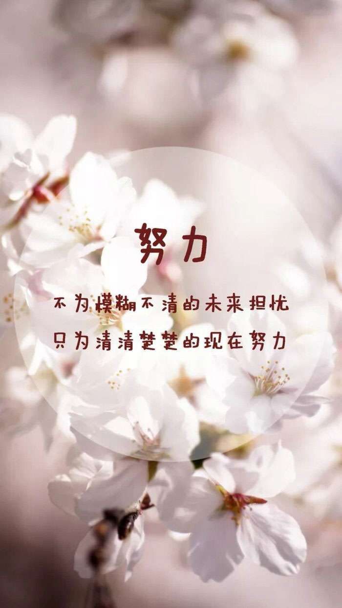 文字壁纸 励志语录 暖心语录