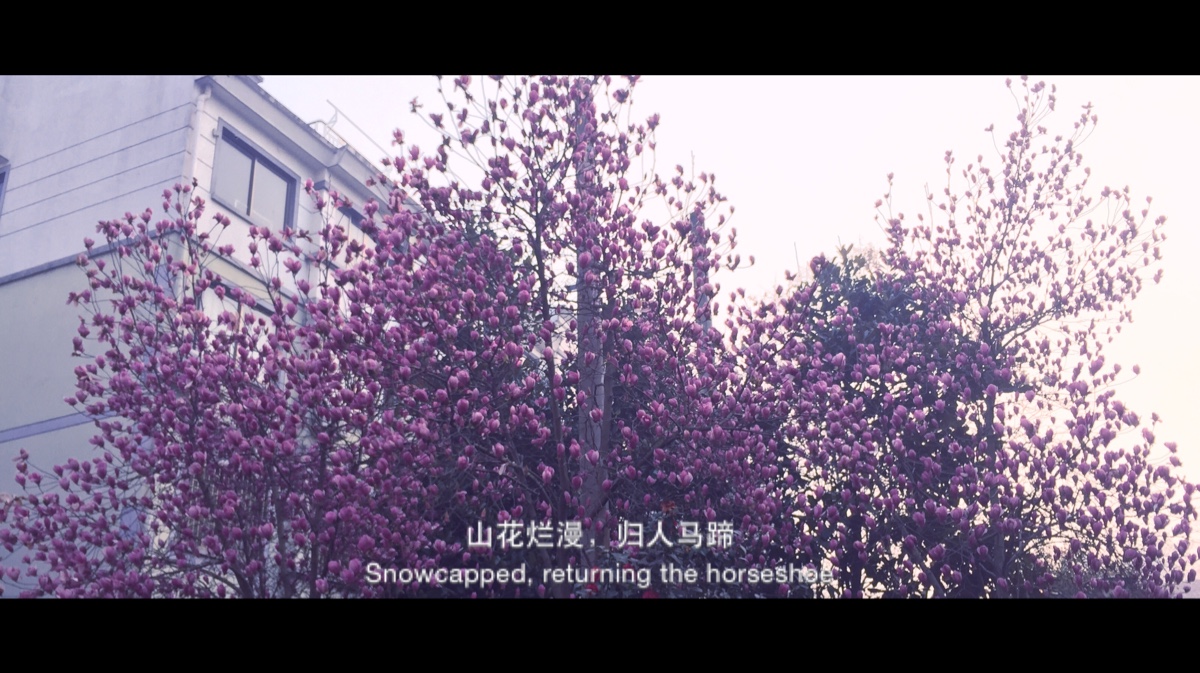 珍惜眼前人的感人故事与优美句子
