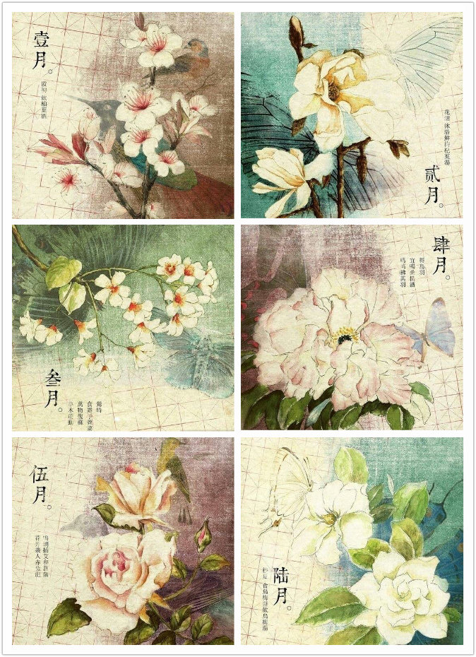 古风,花朵,壁纸,素描