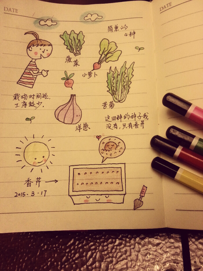 手绘日记……种菜