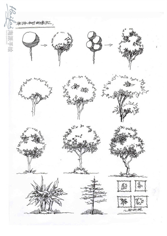 手绘 线稿 树的画法