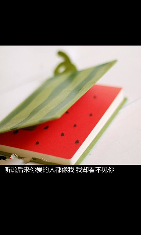 听说后来你爱的人都像我,我却看不见你.