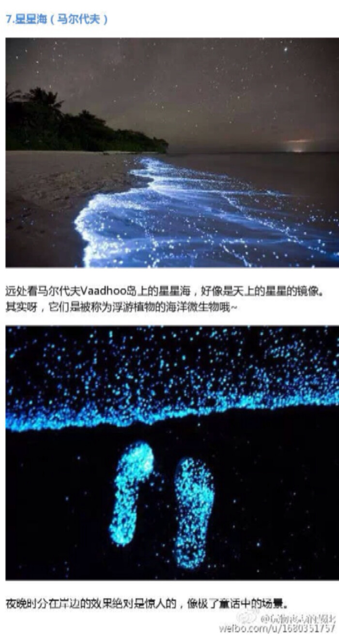 马尔代夫星星海