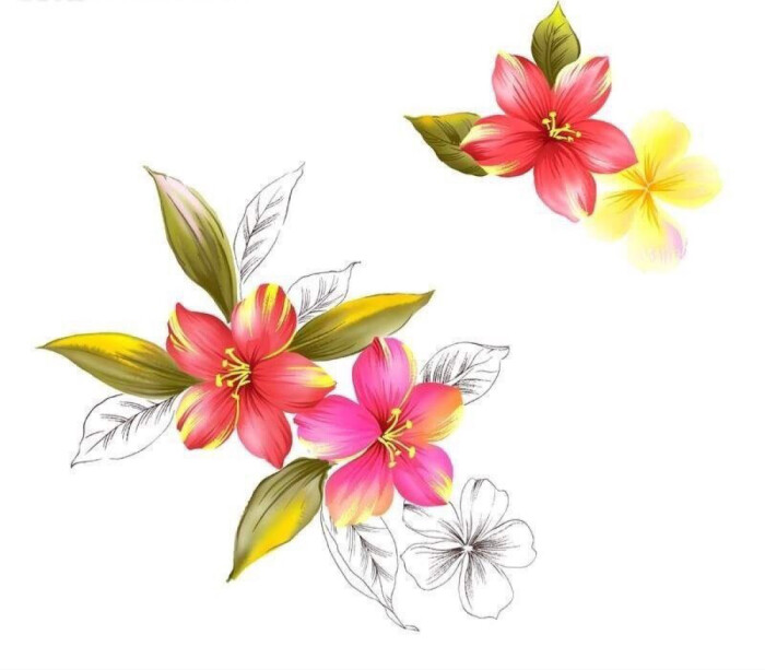 手绘海棠花