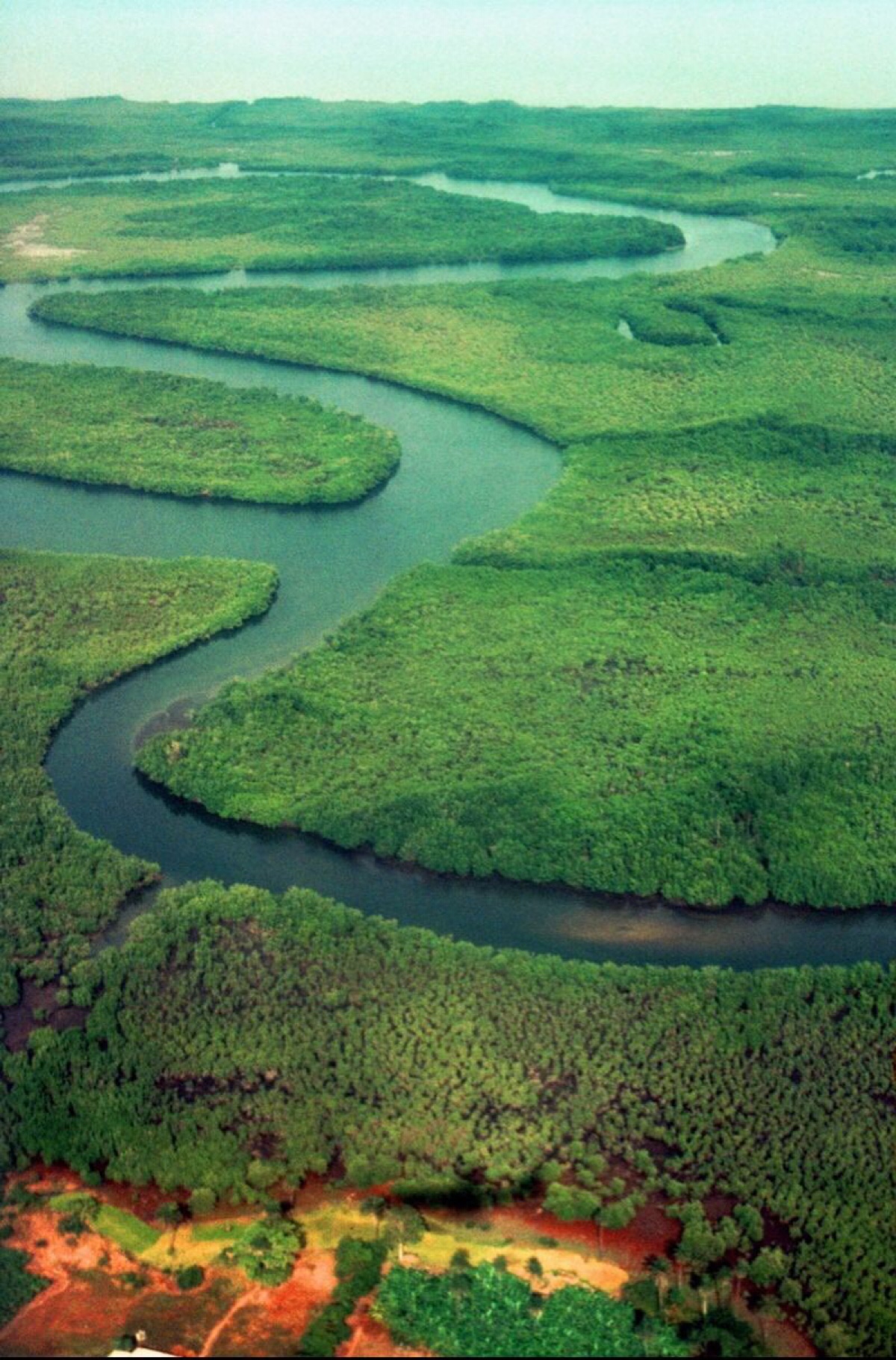 茂密的绿色树林和弯曲的河流航拍图