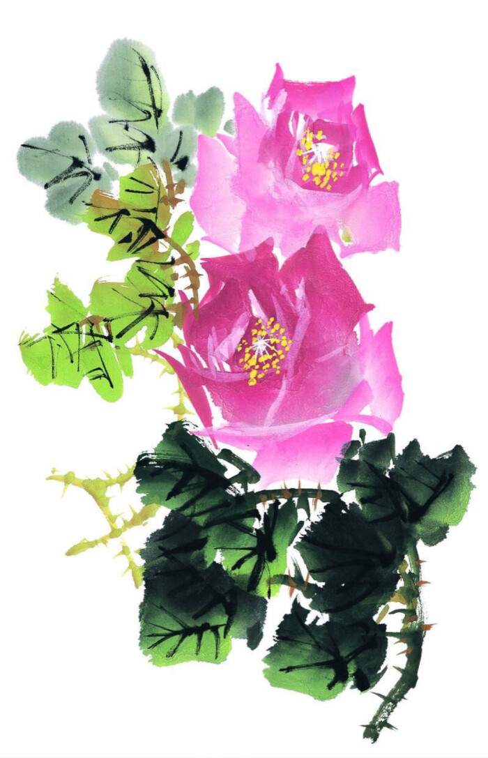 中国水墨画荆棘藤叶上娇艳的紫红玫瑰花