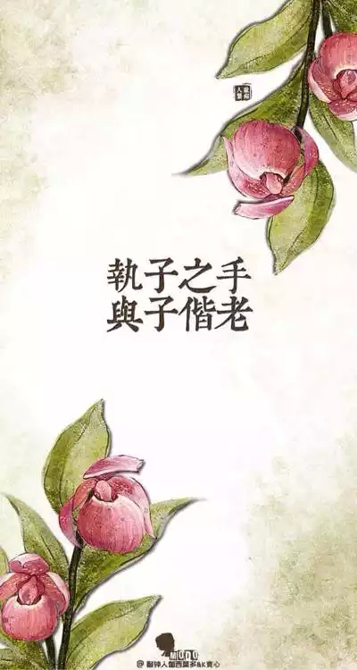 古风 意境 情话 文字 壁纸#执子之手 与子偕老