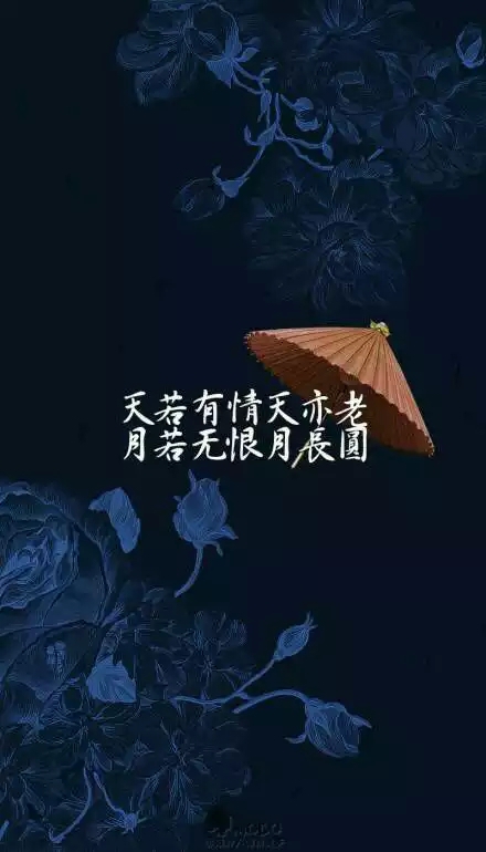 古风 意境 情话 文字 壁纸 小红伞#天若有情天亦老