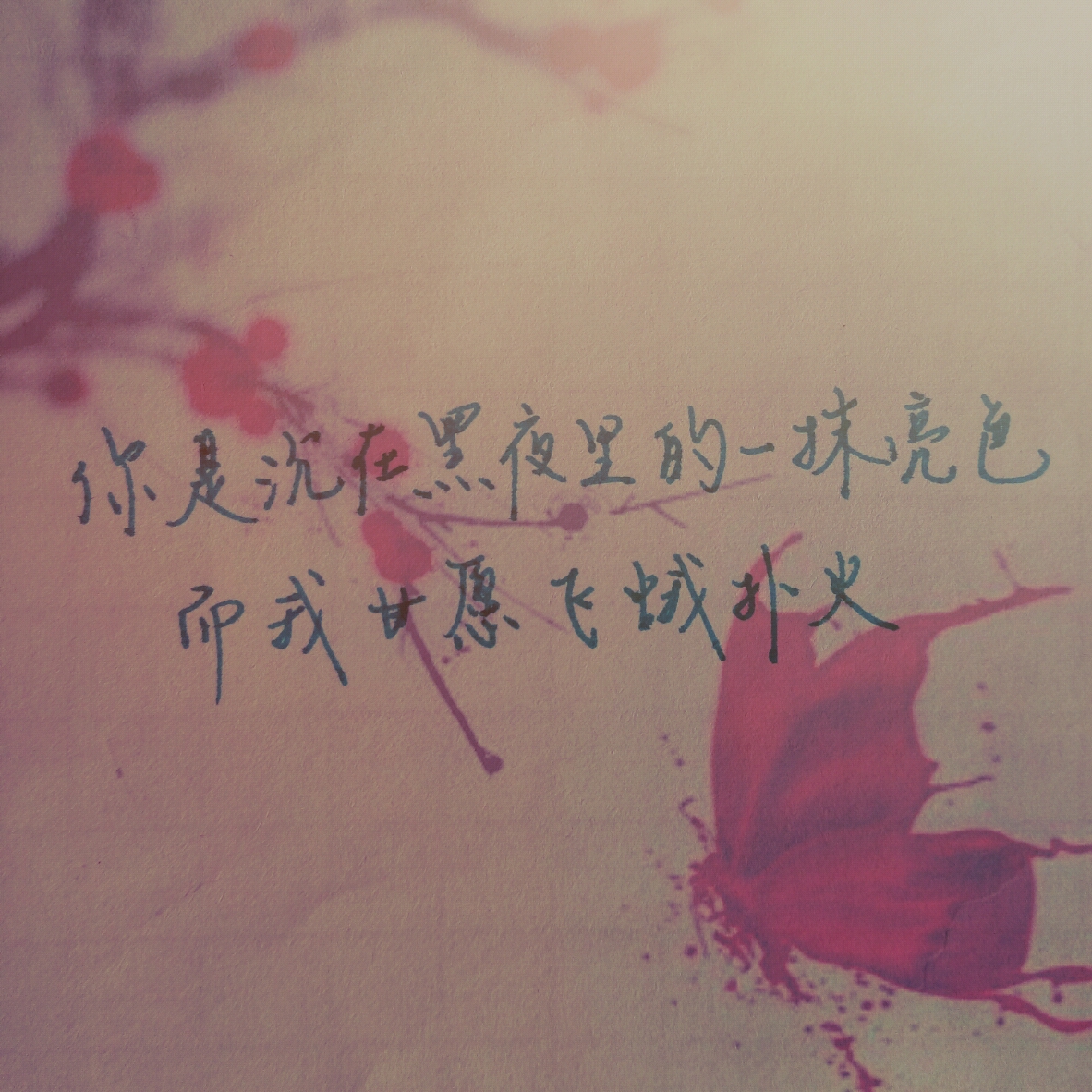 文字 手写 你是沉在黑夜里的一抹亮色,而我甘愿飞蛾扑火.