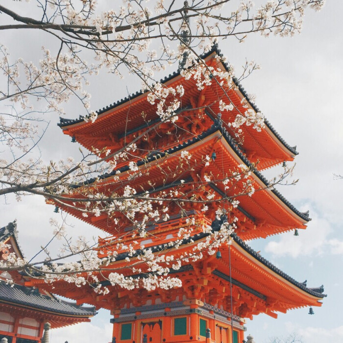 樱花 日式建筑