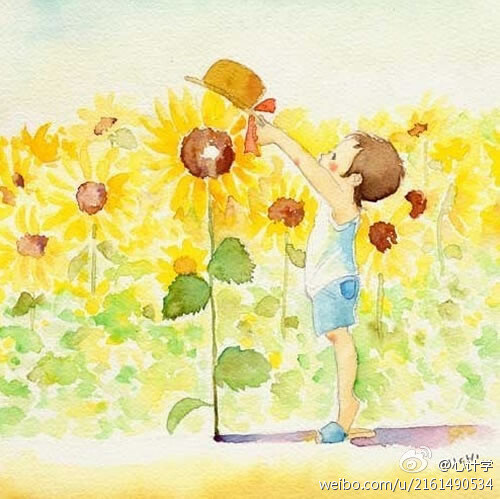 向日葵 水彩 插画 夏天 阳光 花 植物