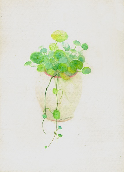 水彩,植物,小清新