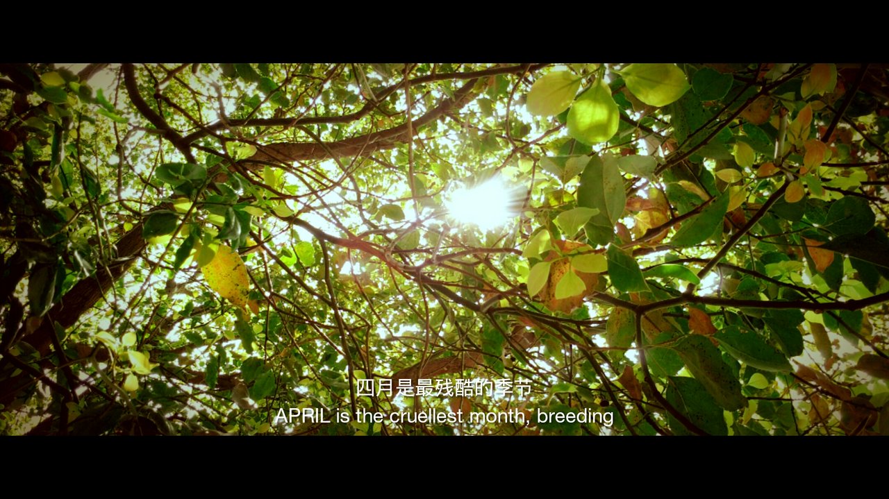 壁纸,四月