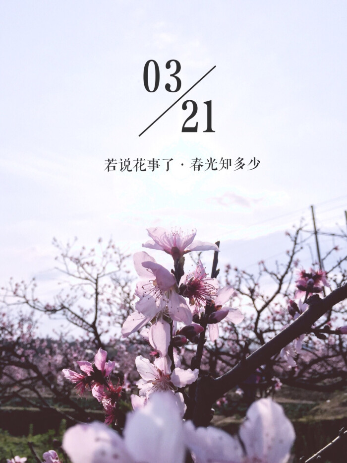 不负春光不负卿