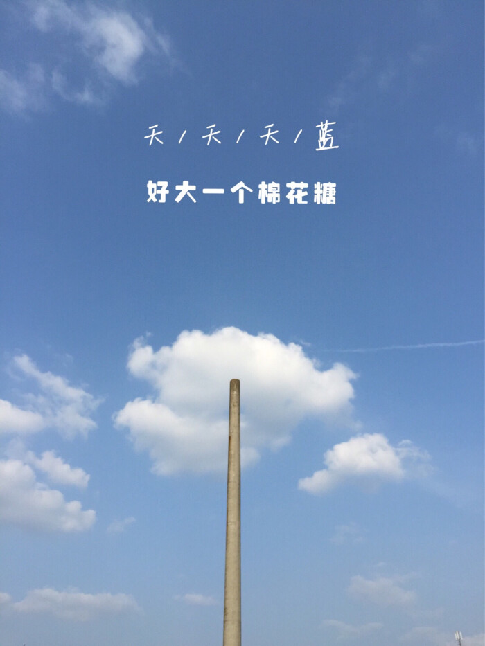 不负春光不负卿
