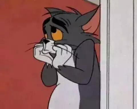 猫和老鼠