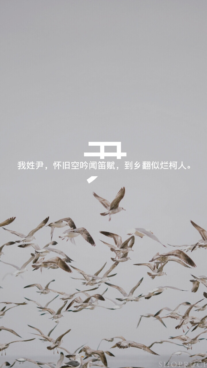 原创 姓氏壁纸 尹