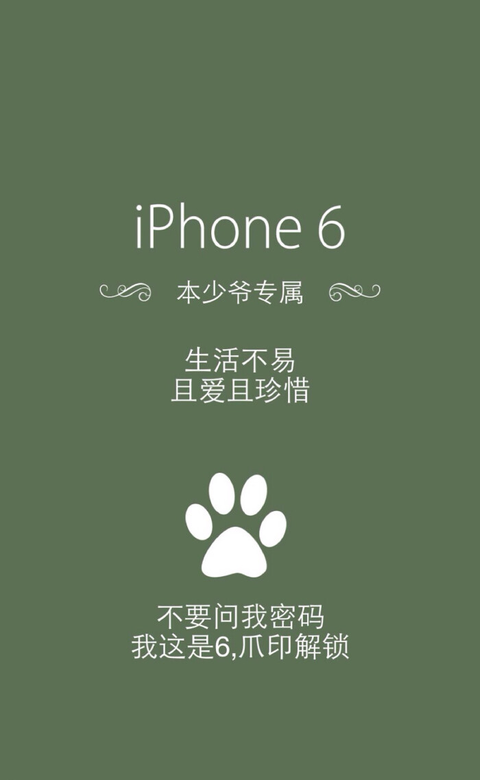 iphone6专用锁屏壁纸