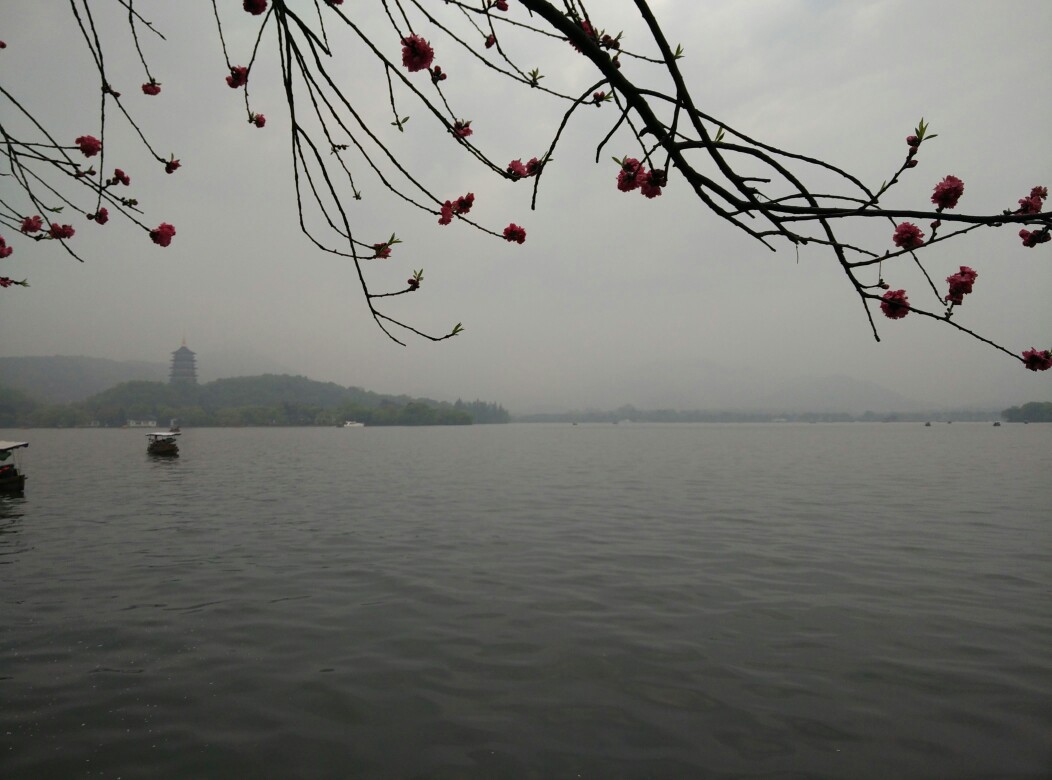 西湖美景四月天