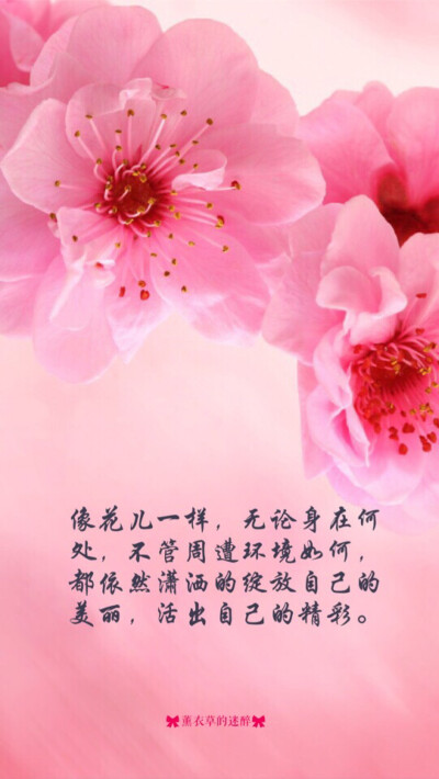 plus高清壁纸,文字,句子,告白,爱情,励志,情书,阳光,语录,温暖人心的