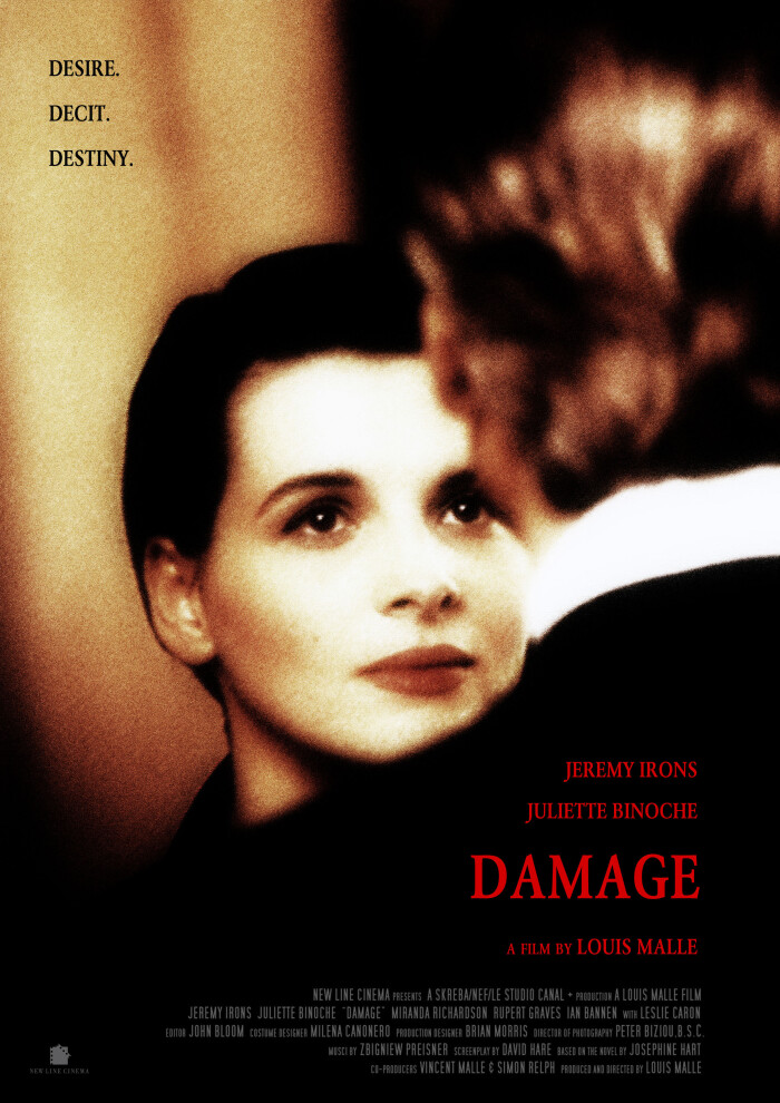 烈火情人 Damage (1992)