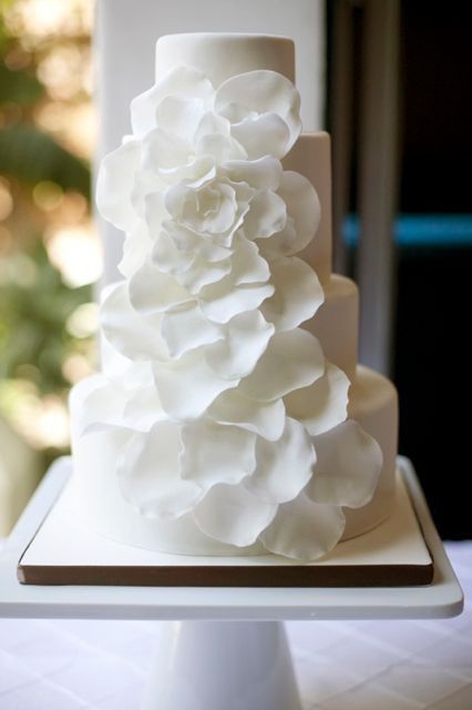 纯白色花蛋糕