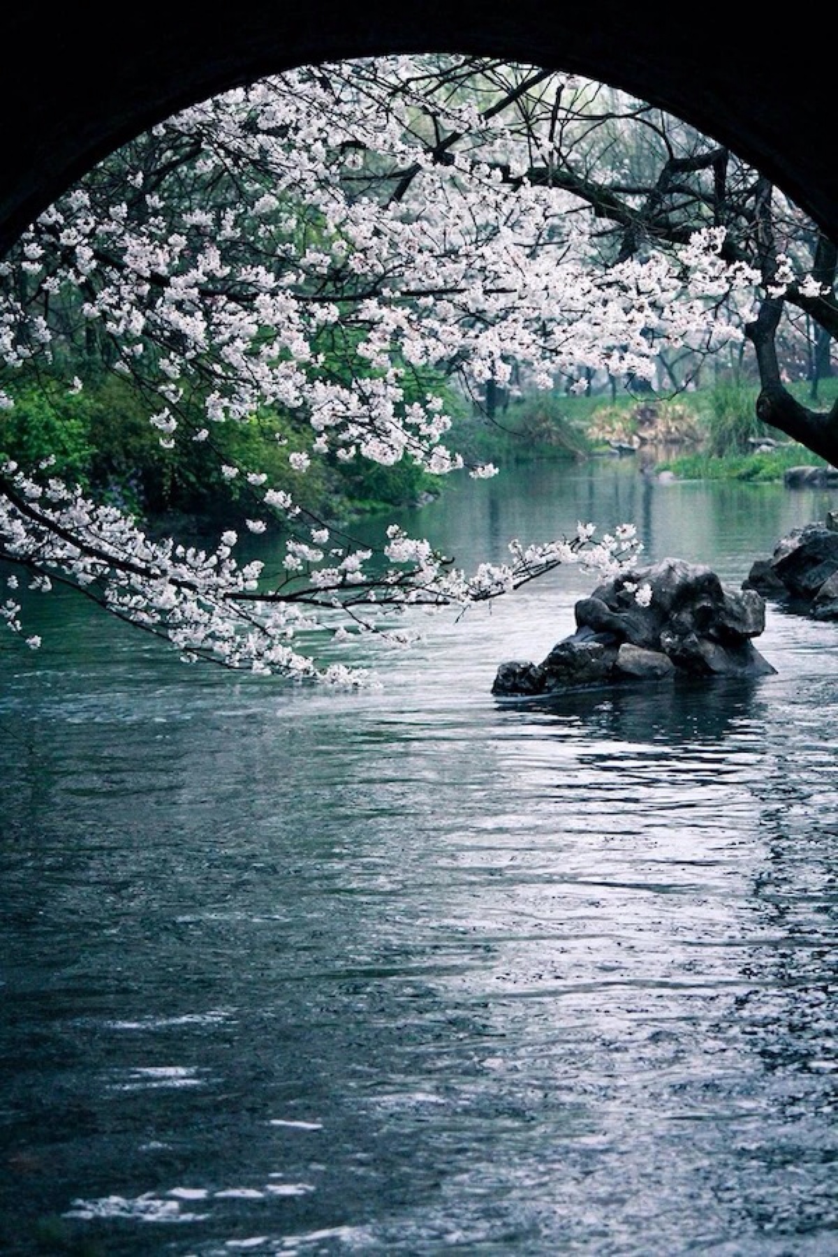 落花人独立,微雨燕双飞//古风//江南