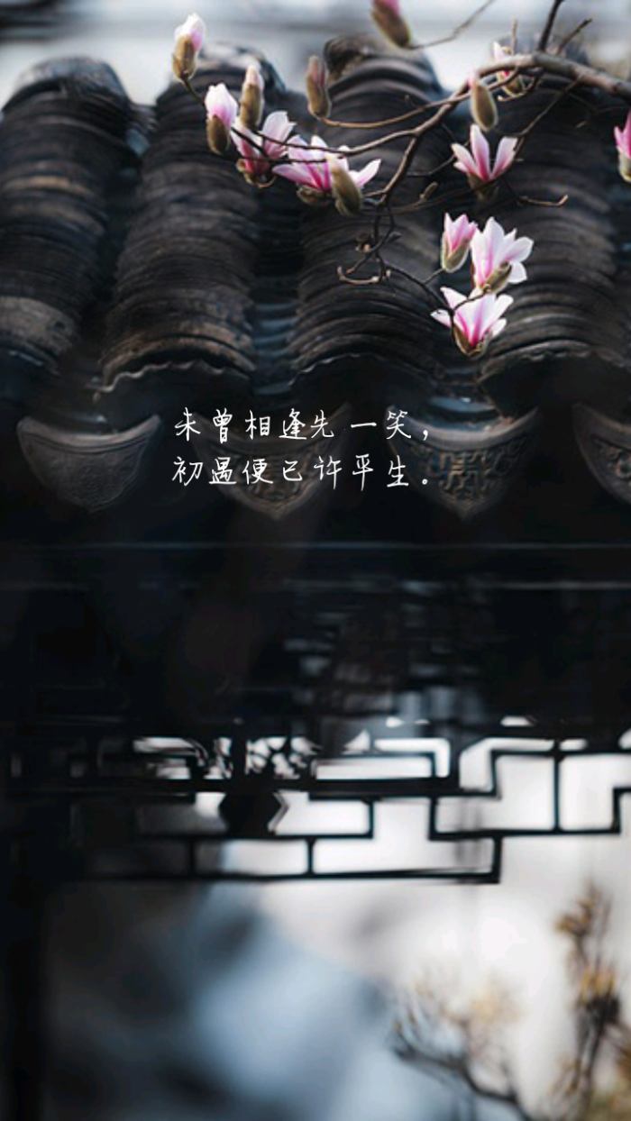 文字,壁纸,古风
