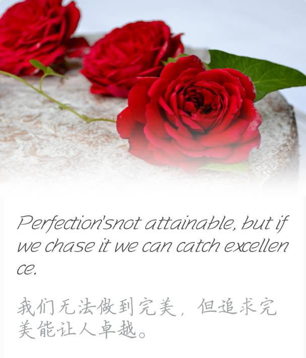 英语唯美短句 堆糖网