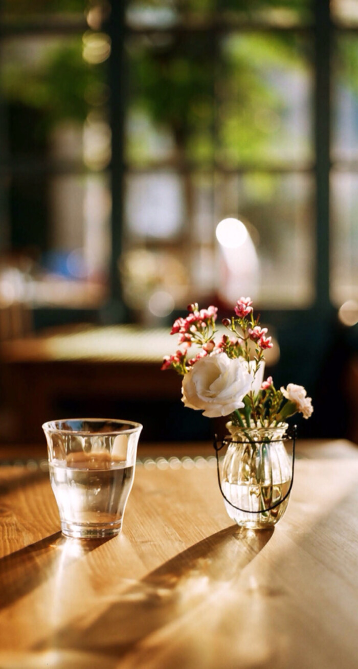 手机壁纸 简洁背景 花朵 水杯 玻璃杯 阳光 温暖 唯美 安静 文艺
