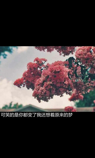 " 你装作刀枪不入的样子,就要做好被万箭穿心的准备 ."