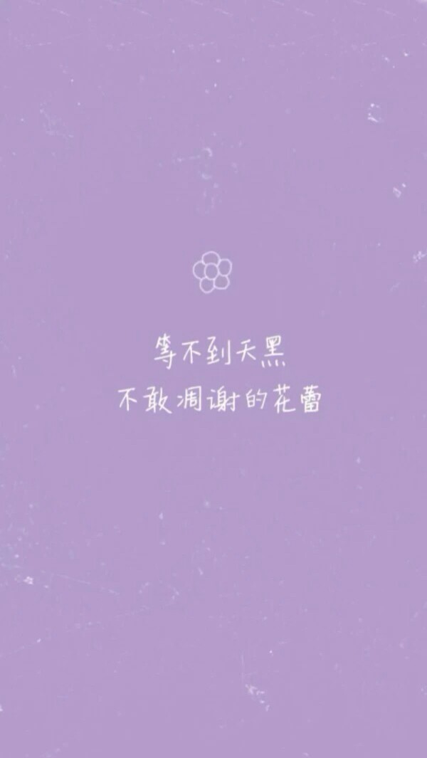 小清新 语录 歌词