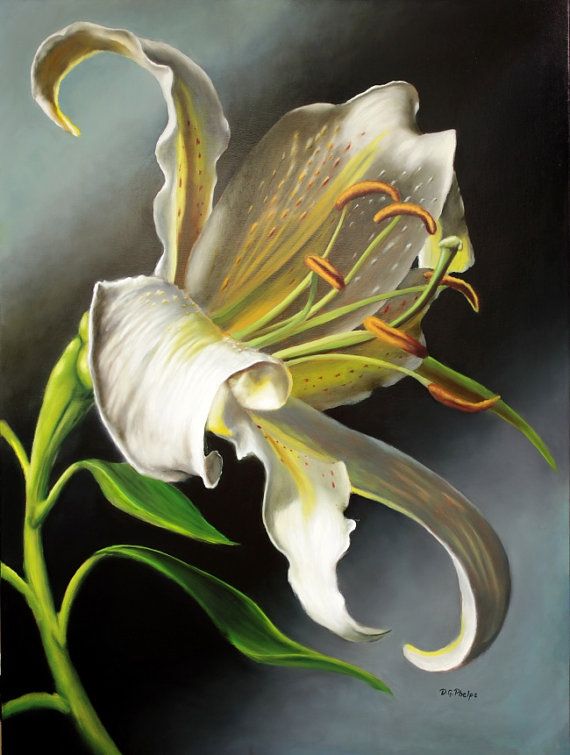 original still life flower oil painting white lily by artist del