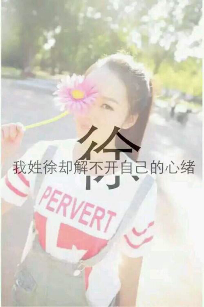 姓氏壁纸 徐