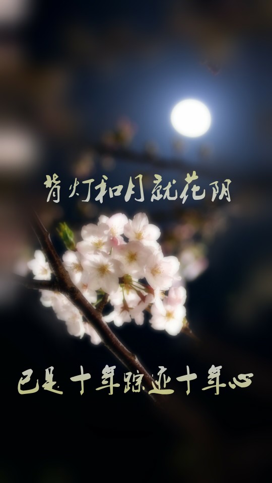 古风 壁纸 文字 锁屏 「背灯和月就花阴 已是十年踪迹十年心」