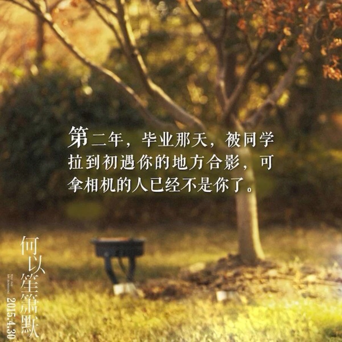 爱,不将就