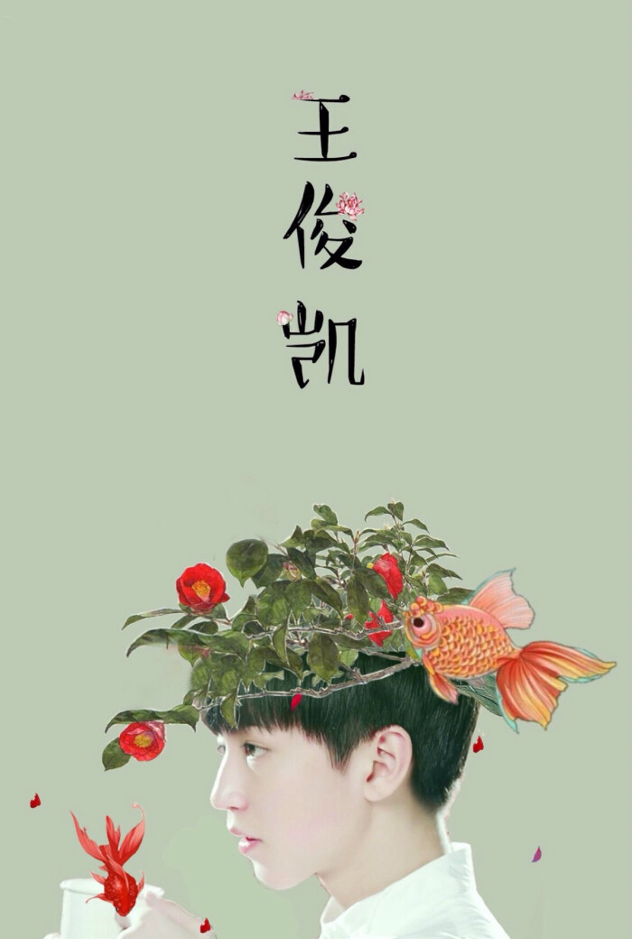 王俊凯#tfboys 壁纸锁屏