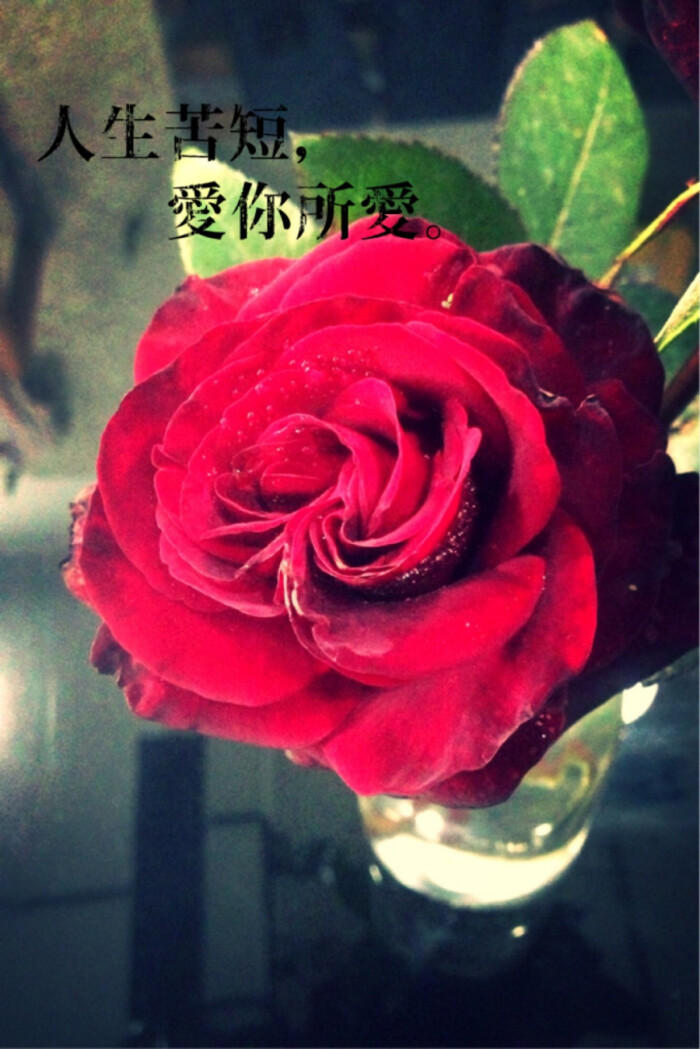 ——刘瑜《被搁置的生活》