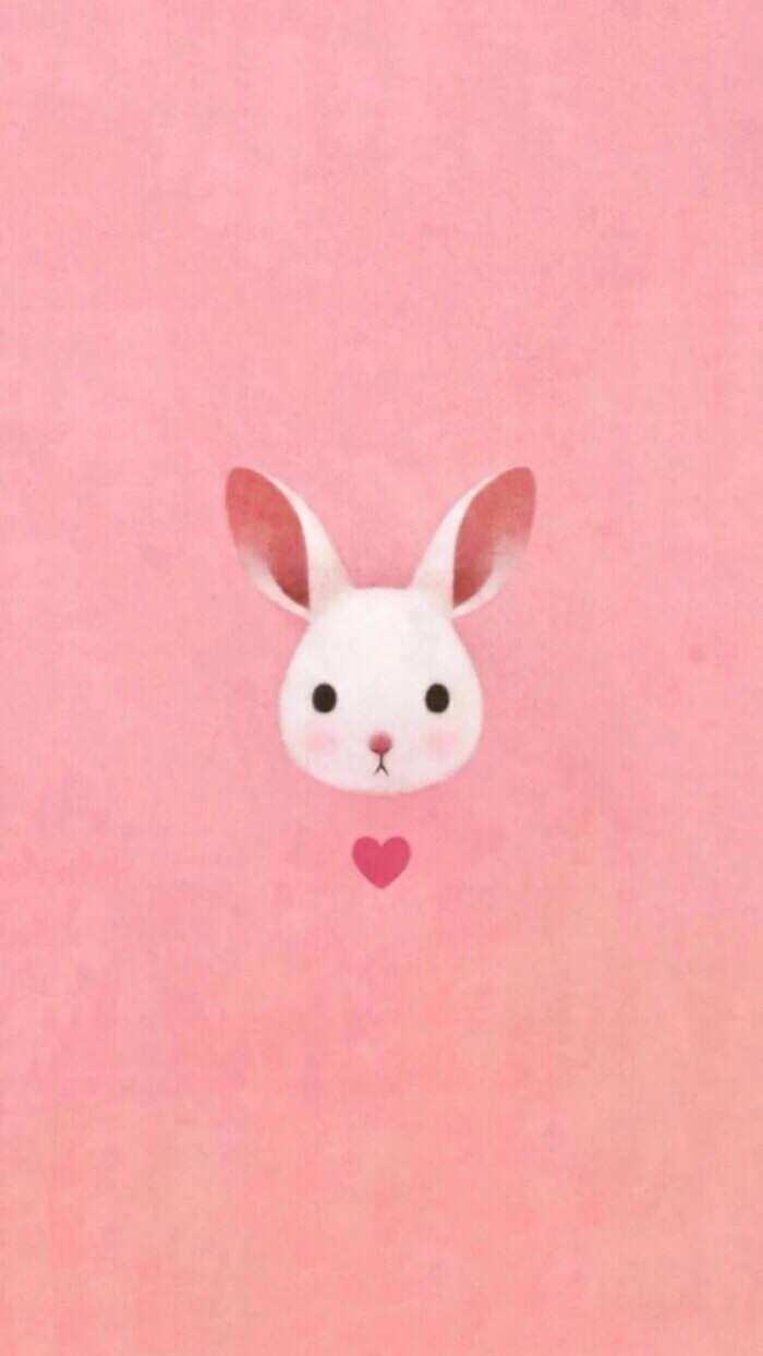 可爱兔兔 可爱兔兔番茄畅听
