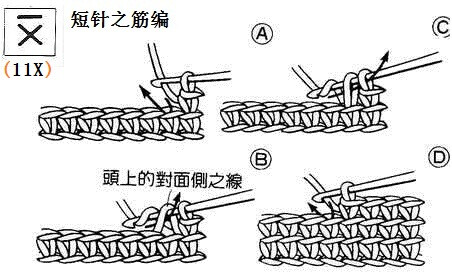短针之筋编