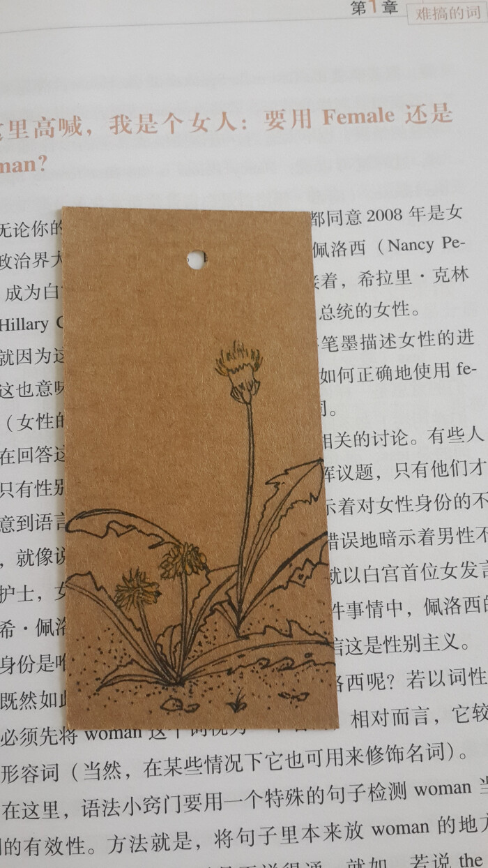 书签画,牛皮纸,线描,蒲公英