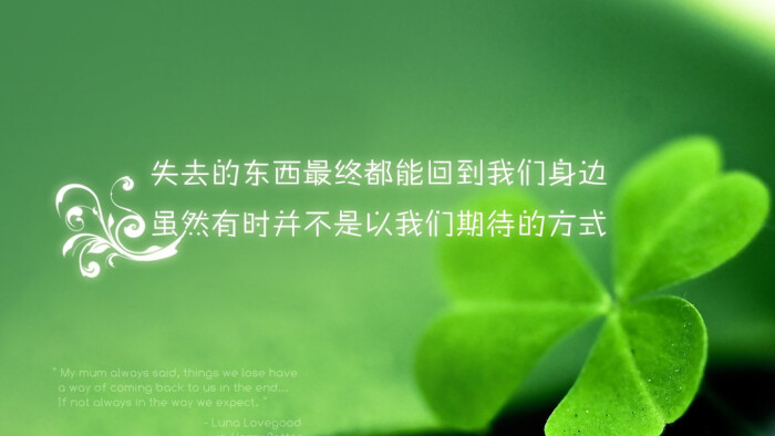 2015年5月6日 1:17   关注  桌面壁纸 文字 电脑壁纸 评论 收藏