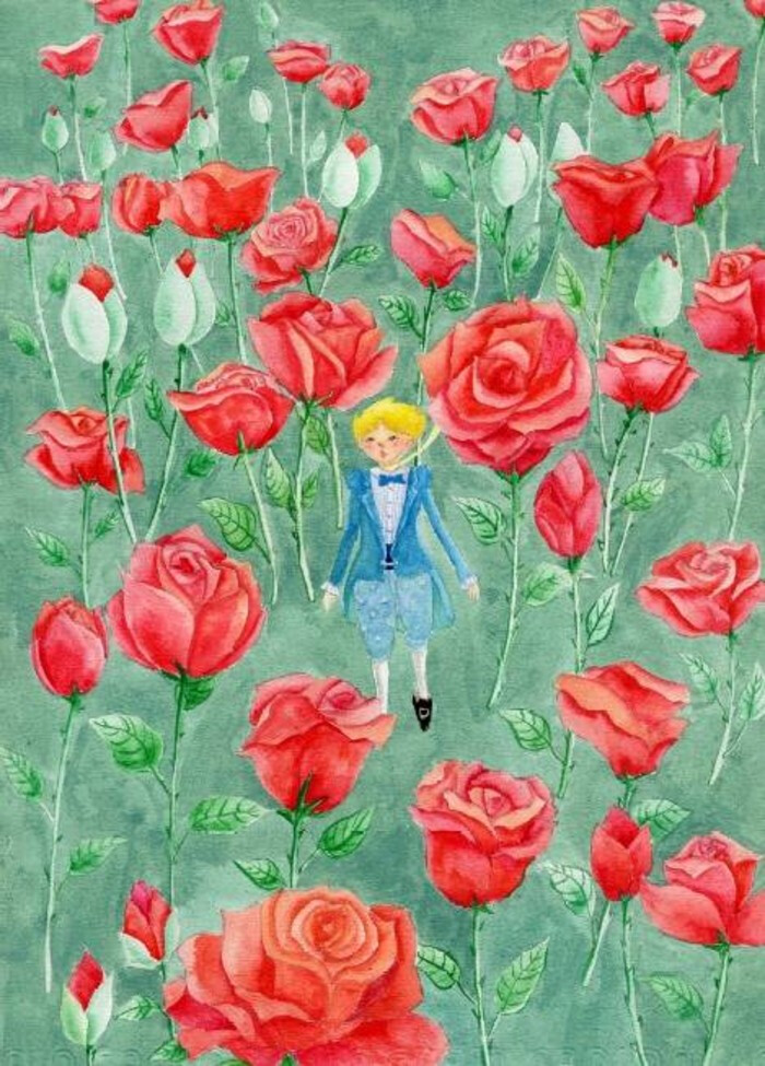 小王子与玫瑰花