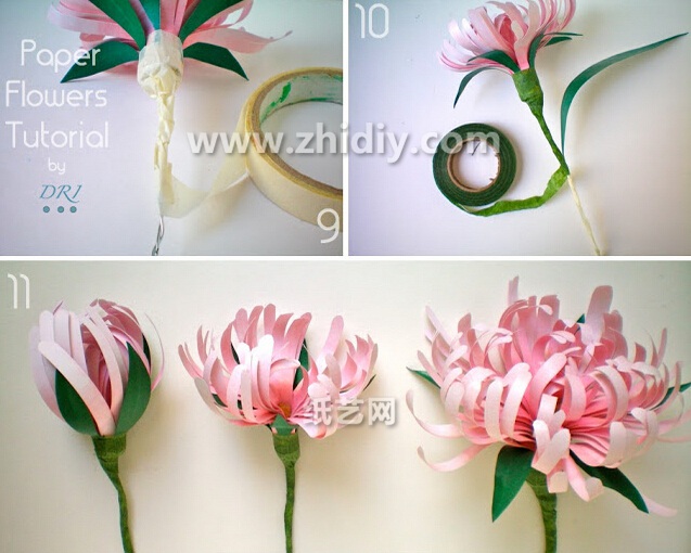 纸花大全—精美菊花手工制作图解教程