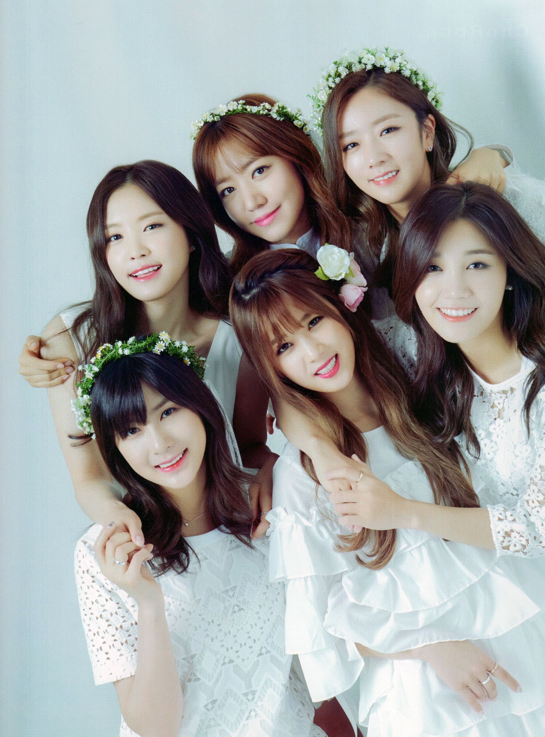 apink 