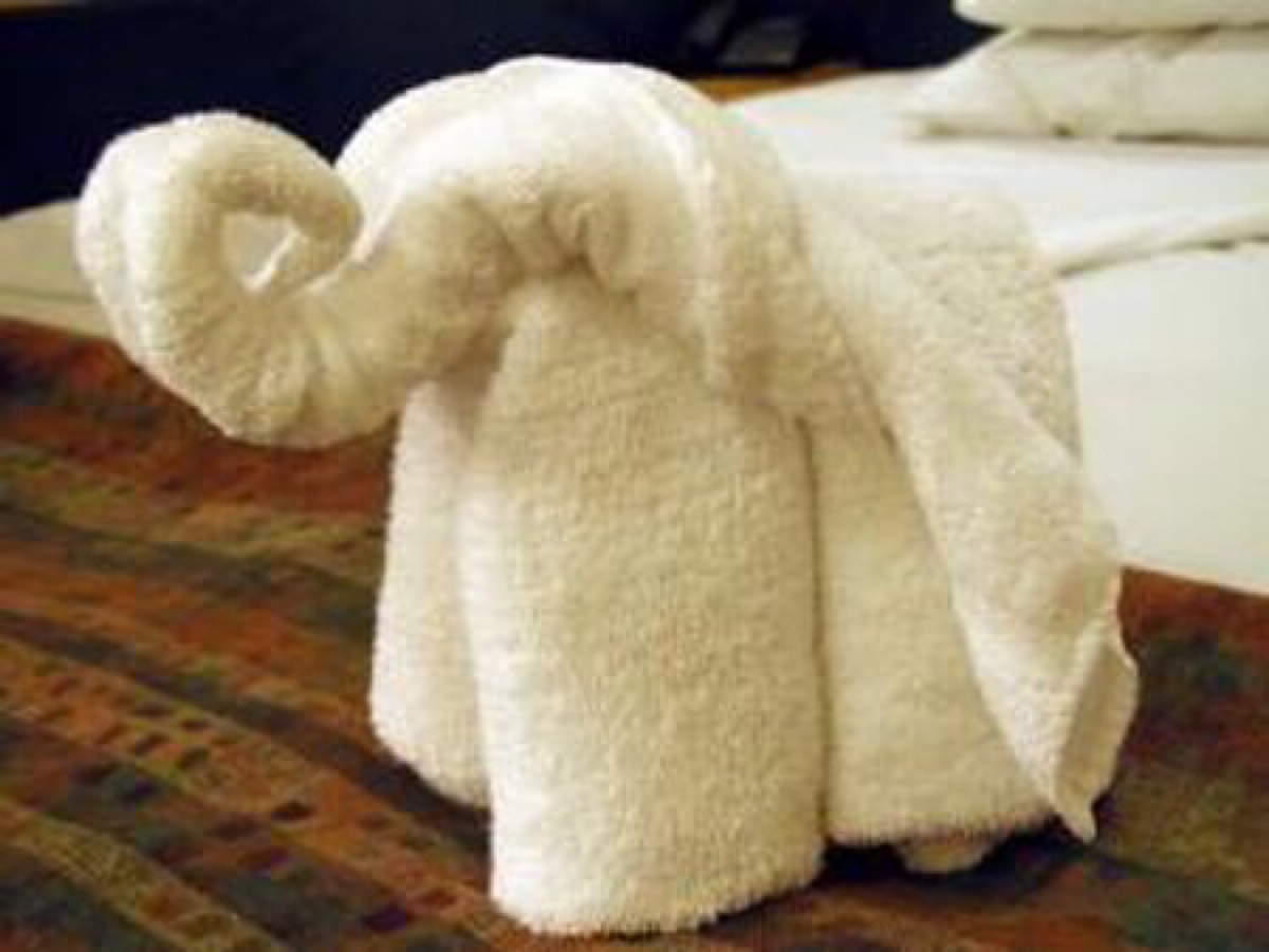 酒店客房 毛巾浴巾布草折叠 大象