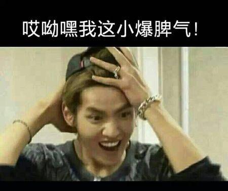 哎呦嘿我这小暴脾气